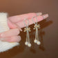 Silver Needle Exquisite Full Diamond Long Fringe Earrings Women