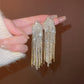 Silver Needle Exquisite Full Diamond Long Fringe Earrings Women