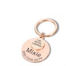 Anti-Lost Pet Collar Tag | Anti-Lost Pet Collar Tag | Trend N Trove