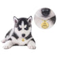 Anti-Lost Pet Collar Tag | Anti-Lost Pet Collar Tag | Trend N Trove