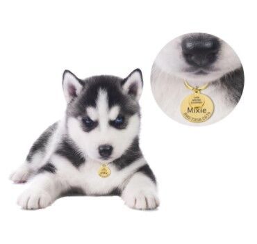 Anti-Lost Pet Collar Tag | Anti-Lost Pet Collar Tag | Trend N Trove