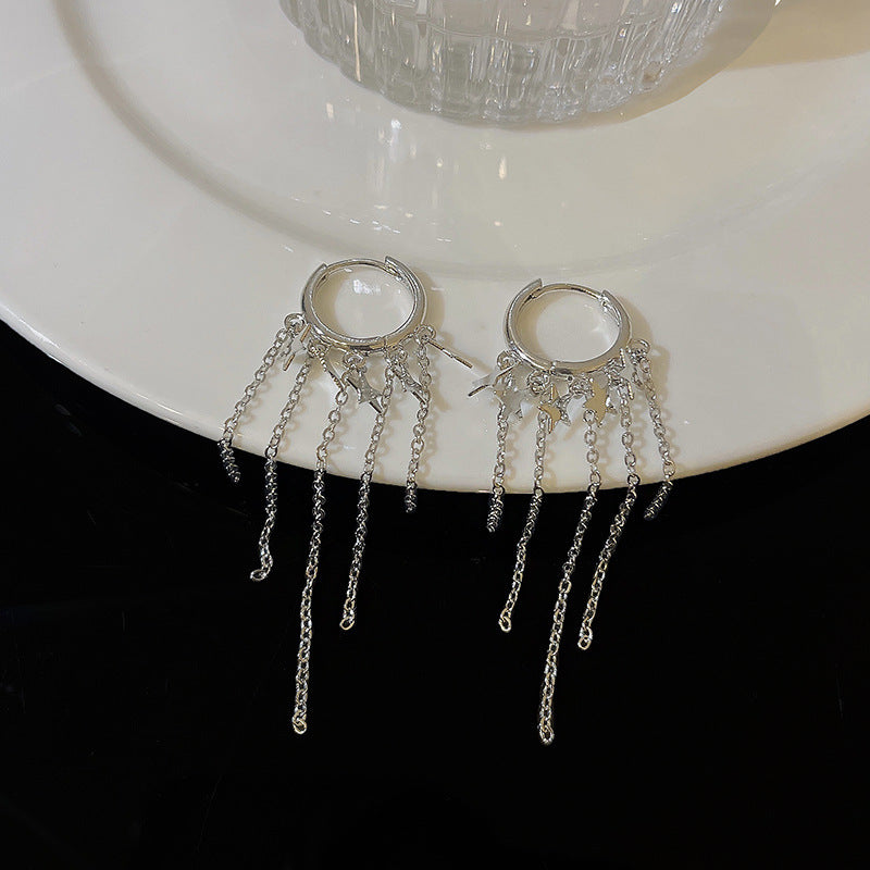 Silver Needle Exquisite Full Diamond Long Fringe Earrings Women