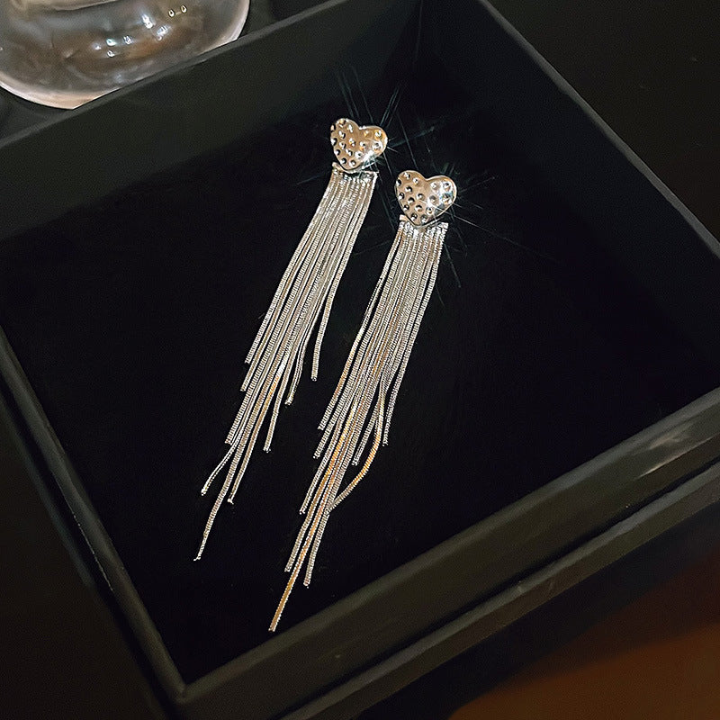 Silver Needle Exquisite Full Diamond Long Fringe Earrings Women