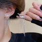 Silver Needle Exquisite Full Diamond Long Fringe Earrings Women